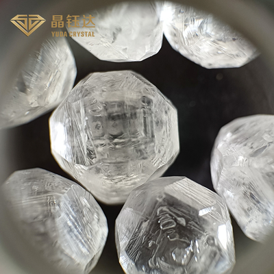 DEF SI VS VVS HPHT Laboratorio Diamante grezzo grezzo non tagliato da 8.0ct a 20.0ct