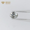 Il taglio ovale IGI ha certificato i diamanti sviluppati del laboratorio contro i diamanti sciolti di chiarezza